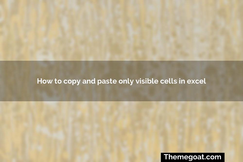 How to copy and paste only visible cells in excel